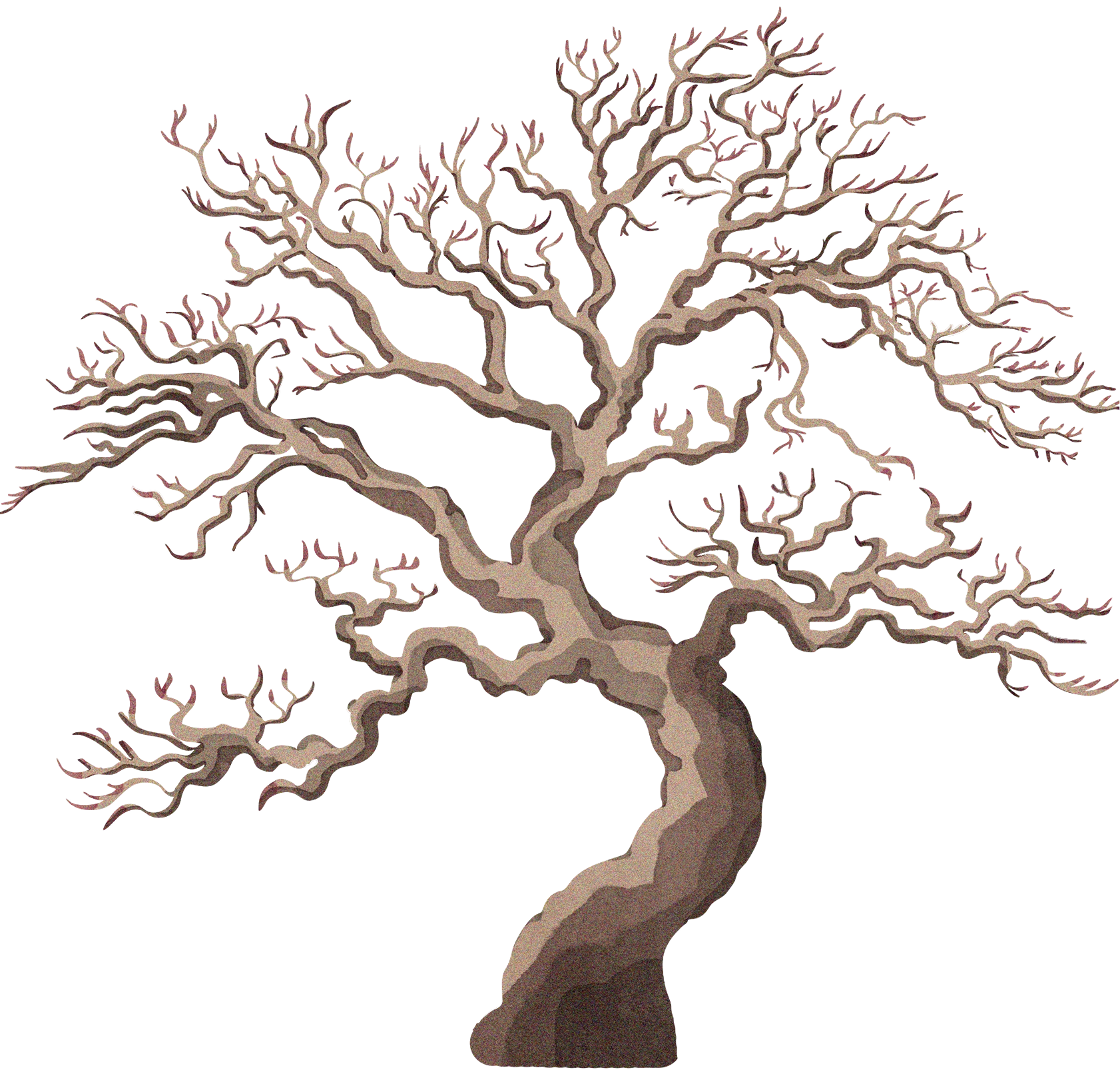 tree background